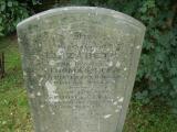 image of grave number 244260